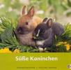 Süße Kaninchen - Kalender 2005