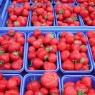 körbchenweise Erdbeeren