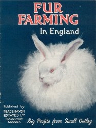 Cover - Fur Framing in England